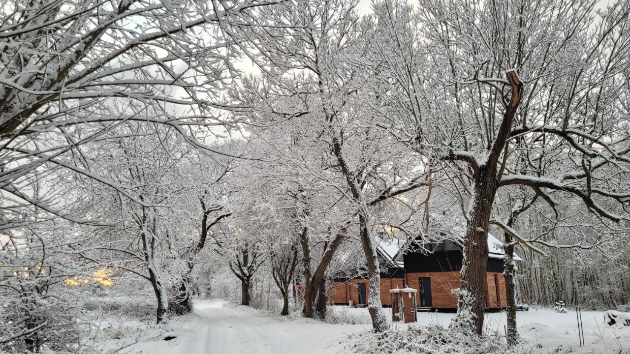 Czas Na Las Zarnowska Extérieur photo