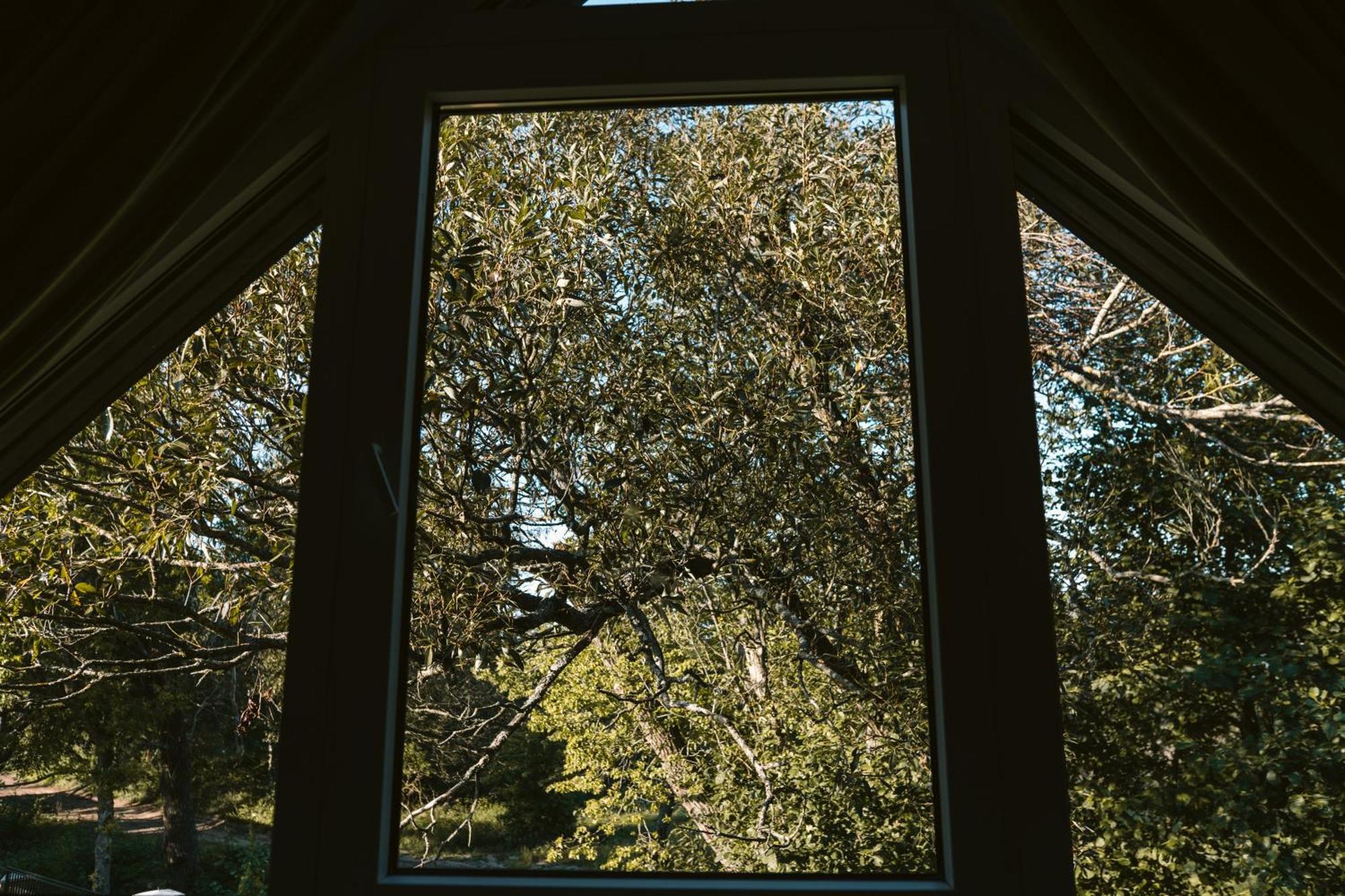 Czas Na Las Zarnowska Extérieur photo